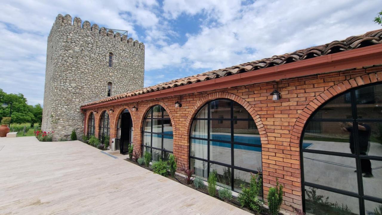 Giorgi Ushikishvilis Chateau-Marani Akhmeta Zewnętrze zdjęcie