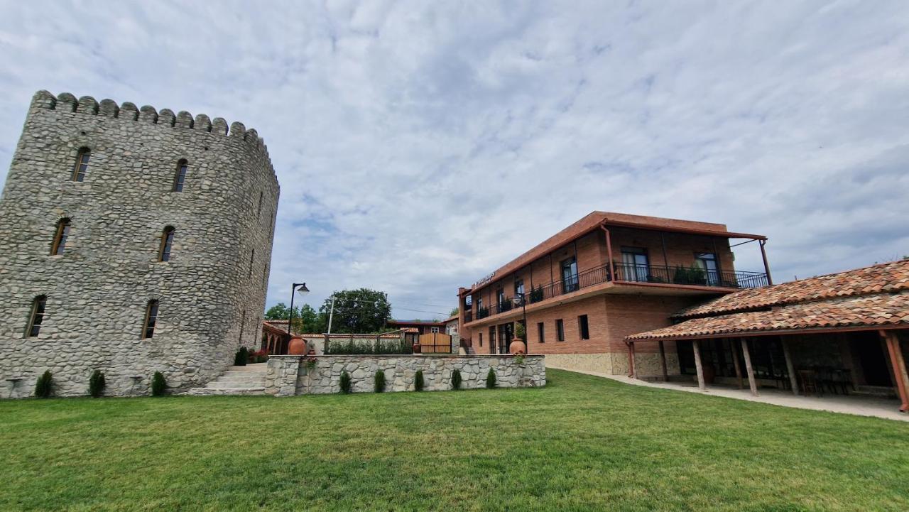 Giorgi Ushikishvilis Chateau-Marani Akhmeta Zewnętrze zdjęcie