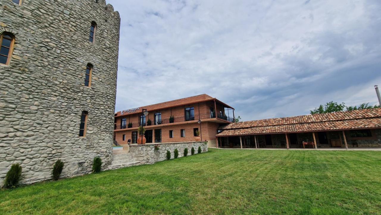 Giorgi Ushikishvilis Chateau-Marani Akhmeta Zewnętrze zdjęcie